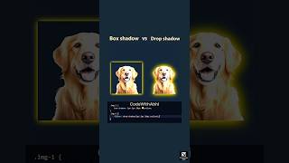 Box shadow VS Drop shadow in CSS  #coding #css #shortvideo #shortsfeed #shorts #short #short #html5