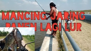Mancing jaring part 3 di bendungan gerak panen lagi lur