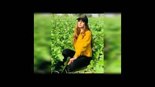 Mahraib video | maheen obaid | laraib khalid | dream girl official