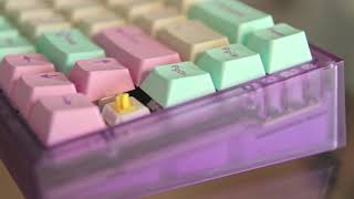 NovelKeys | NK65 Switch Installation