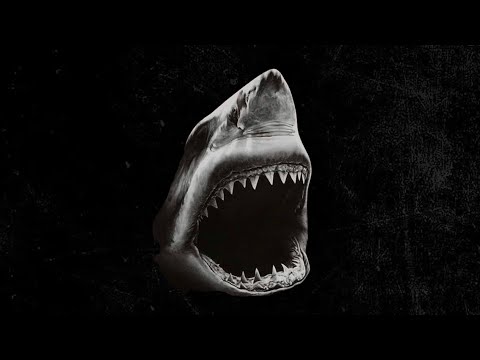 (FREE) Fast Aggressive 808 Rap Beat "ATTACK" | Hard Trap Type Beat | Free Type Beat |