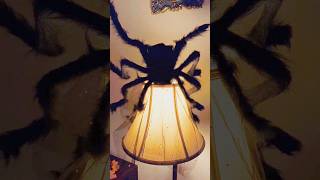 HALLOWEEN DECOR (budget-friendly) #halloweendecorating #decoratingonabudget