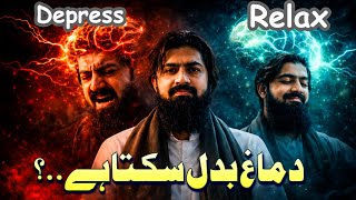 Train Your Brain to Stay Calm | The Neuroplasticity Secret #neuroscience 