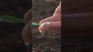 Mini Life Lessons  Patience Pays Off! #patiencepaysoff #positivevibes