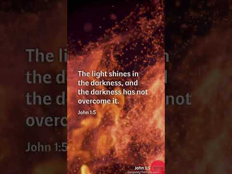 John 1:5 #john #scripture #dailyscripture #lightoverdarkness #shorts