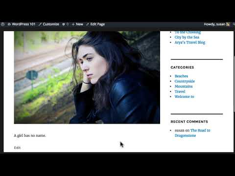 Wordpress posts vs pages