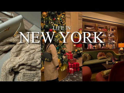 [Eng Sub] NYC Vlog | 뉴욕 일상 브이로그 | 뉴욕 로컬 맛집 | 브루넬로 쿠치넬리 쇼핑 | 뉴욕 데이트 스팟 | 뉴욕 겨울 | 강아지와 뉴욕