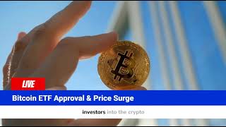 Crypto World 2024 Recap Video – The Biggest Winners & Losers! #cryptonews #crypto2025 #bitcoin