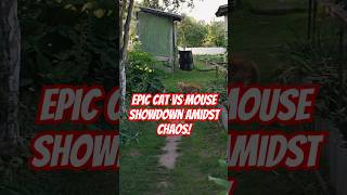 Epic Cat vs Mouse Showdown Amidst Chaos! #CatVsMouse #EpicShowdown #AnimalBattle #FunnyAnimals
