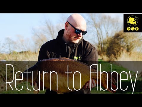 Return to Abbey