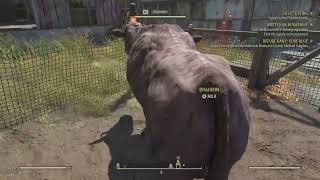 🍋(PS4) Playing Fallout 76 | Venturing across The Wastelands!🍋 !socials !customcommands