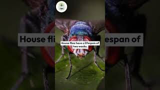 Fascinating Science Facts You Never Knew