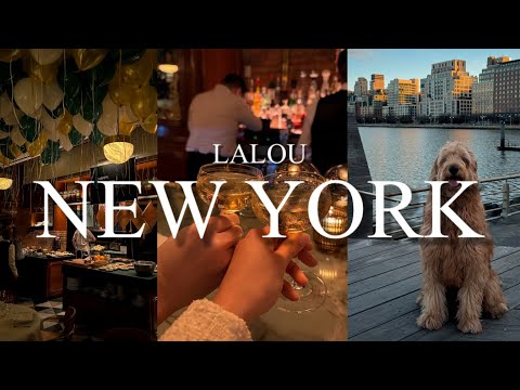 [Sub] NYC Vlog | 뉴욕 브이로그 |  뉴욕 새해 맞이 | 뉴욕 로컬 맛집 | 뉴욕 우드버리 아울렛 | 뉴욕 와인바 | 강아지와 함께 뉴욕