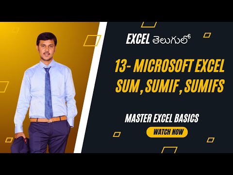 14  Microsoft Excel  Functions Sum, SumIF, SumIFS