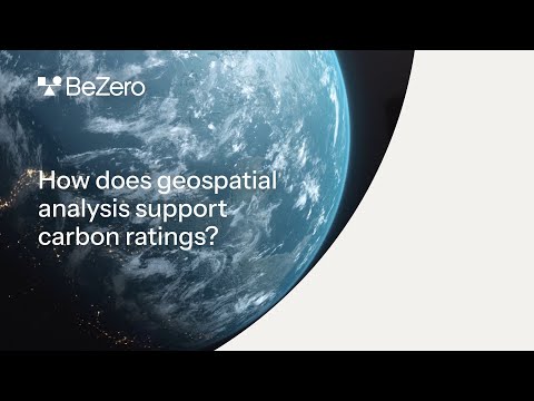 Using geospatial analysis in carbon ratings | BeZero Carbon