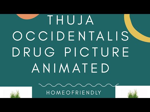 Thuja Occidentalis drug picture