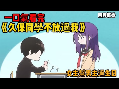 一口氣看完四月校園戀愛番新番《久保同學不放過我》下篇7~12集，第一季完結灑花，久保幫男主慶生