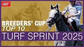 Breeders' Cup Top 10 | Turf Sprint 2025