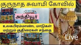 India's Biggest Horse and cattle Market | Anthiyur Gurunathaswamy Temple Festival |Erode| logonTamil