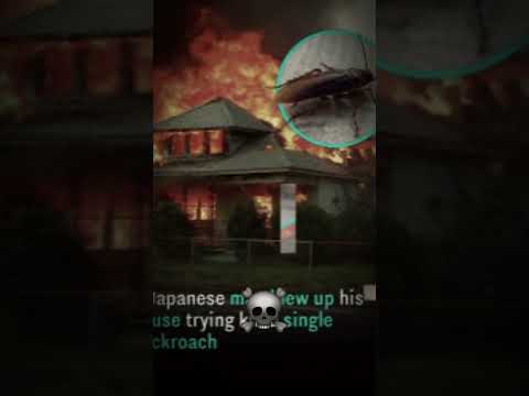 BRO ACTUALLY GOT HEATED #doomposting #edit #cockroach