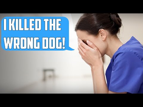 I killed the WRONG DOG! - Worst Workplace Mistakes costing Millions