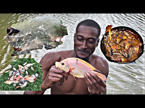 Amazing Net Fishing Adventure Catch N Cook Tilapia