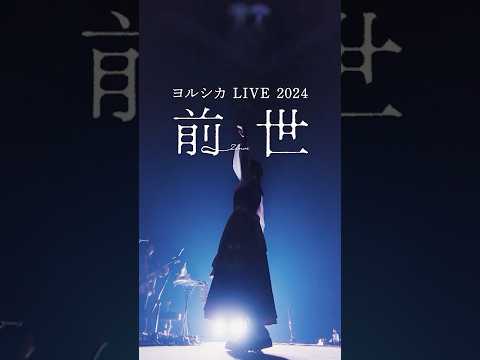 #ヨルシカ #live #前世 #yorushika