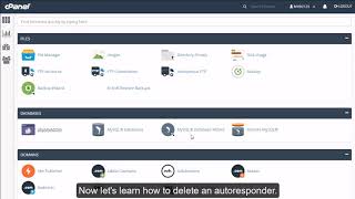cPanel Email - How to Delete an Email Auto-Responder