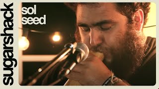 Sol Seed - Family Tree (Live Music) | Sugarshack Sessions