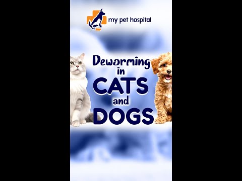 Why Deworming is Crucial for Your Pet’s Health! 🐾