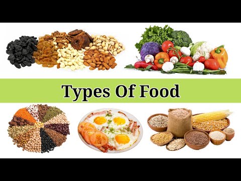 Food | Types of Food in English @funnlearnpreschool