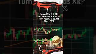 Three Crucial XRP Technical Indicators Turn Positive as XRP Rises 35%.#XRP #XRPETP #XRPET#Ripplenews