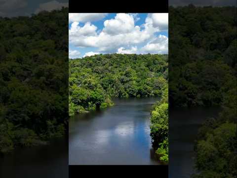 Amazon jungle ke 5 Rahasya 😱💥#trending #viral #viralshorts #like #trendingshorts #viralshort #trend