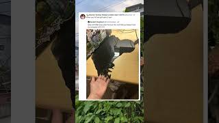 When GOTH goes TECH FAIL 😱 #TechTrouble #Shorts