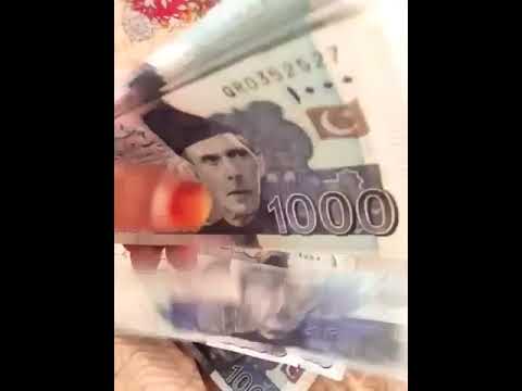 For Those who consider Econex is fake.dont waste your time and dm+923429048102 #onlinemarketing #14