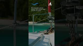 Exploring East Africa's Marine Ecosystems #africaneconomy