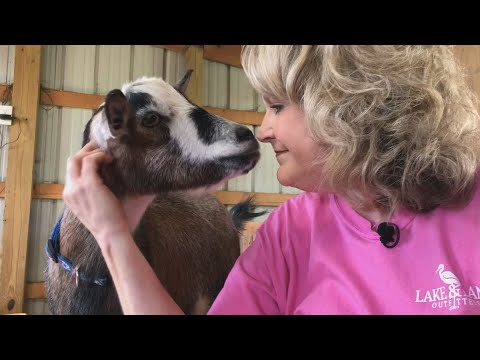 FRIENDS IN THE FIGHT: MARSHA'S BATTLE WITH BREAST CANCER