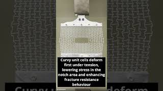 Fracture-Resistant Curvy Lattices with Multi-Stiffness Design | IJSS Publication