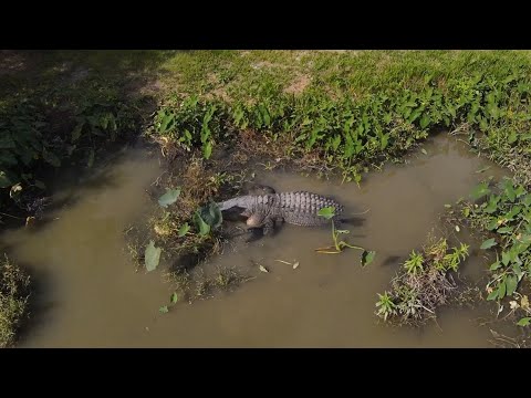 Lakeland Florida! It's a cool city I guess!