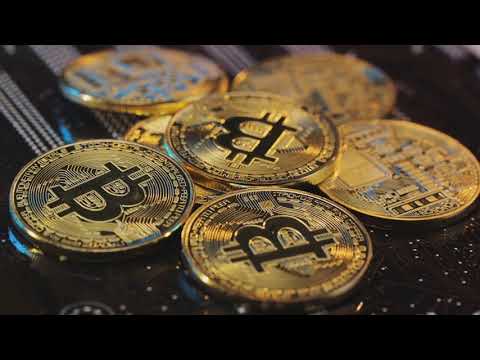 Crypto Bull Run  The Flight to Quality