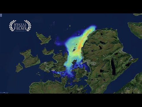 Oceanbox: Disruption for a Sustainable Ocean