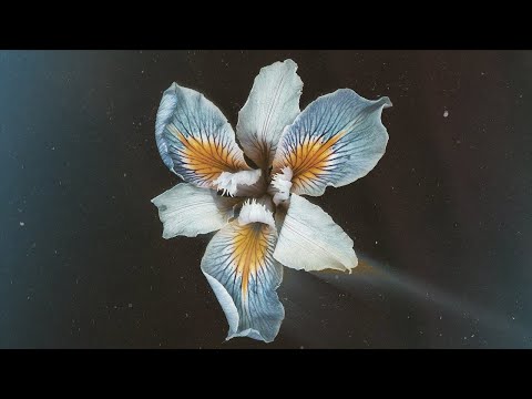 Tor - Oasis Sky (Full Album)