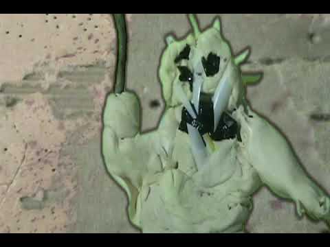 Robots Mutants 2232