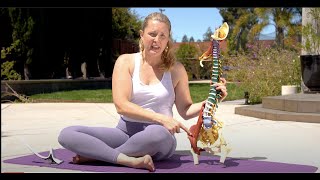 How to Use the Hip Hook