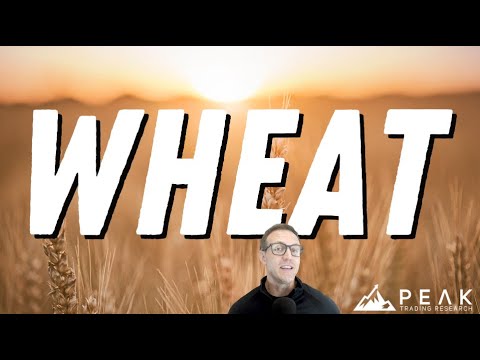 Chicago Wheat Momentum Monster | Strategy of the Month September 2023