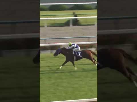 2007年　エリザベス女王杯　ダイワスカーレット