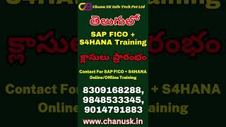 No1 SAP Job Based Training In India-Best Training in Telugu-Best SAP Online Training In Telugu-sap
