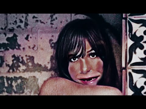 The Goin’ Nowheres - Adam Walsh on Expired Milk (Official Video)
