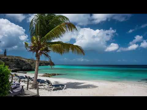 10 Hours of Ocean Waves & Seagulls Relaxation Sounds  Healing Sounds for Deep Sleep & Relaxation