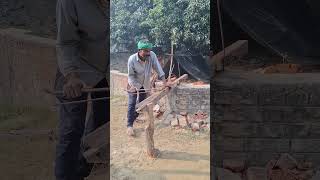 Bar bending schedule at site